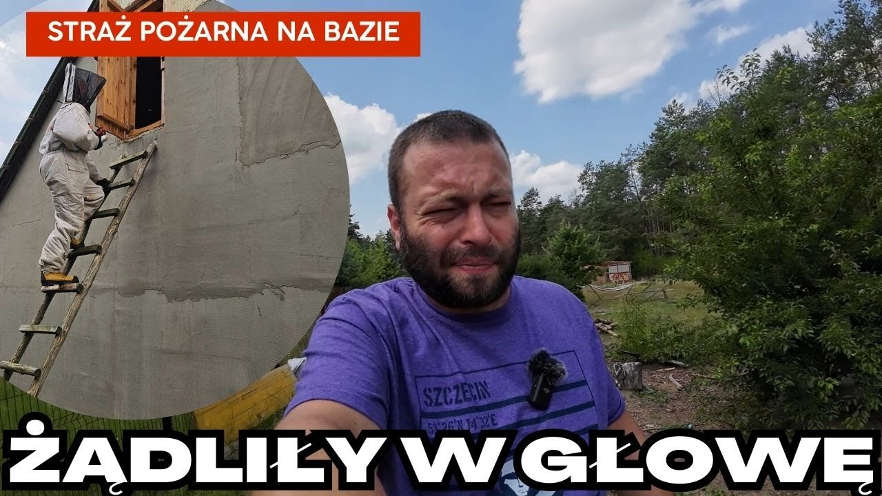 Szerszenie mnie pożądliły