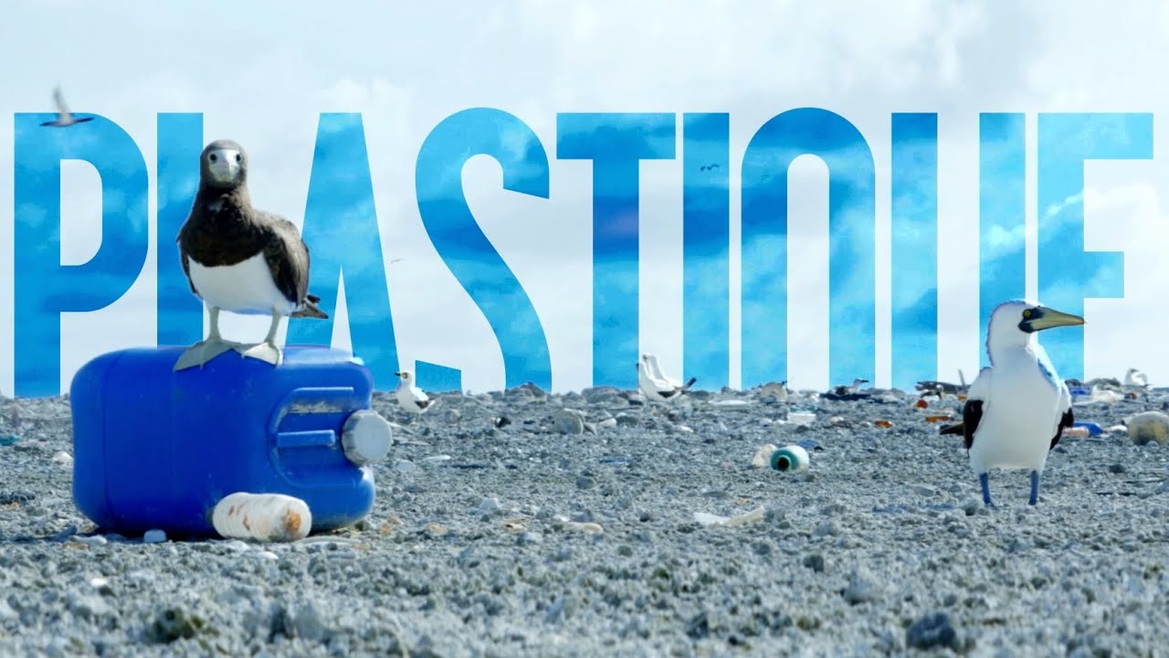 Dites stop à la pollution plastique !