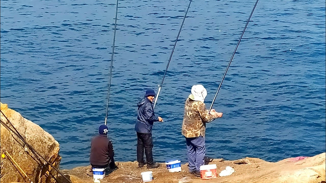 رحلات⛵🛶 صيد 🎣🎣السمك🐟🐟🐟 #دانبو #رميلات #طنجة📍🇲🇦