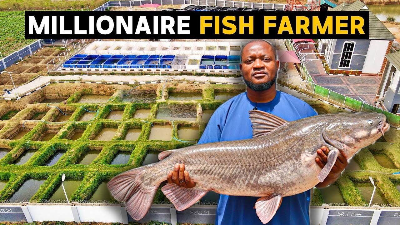 How A Nigerian Man Became A Millionaire Fish Farmer In Africa