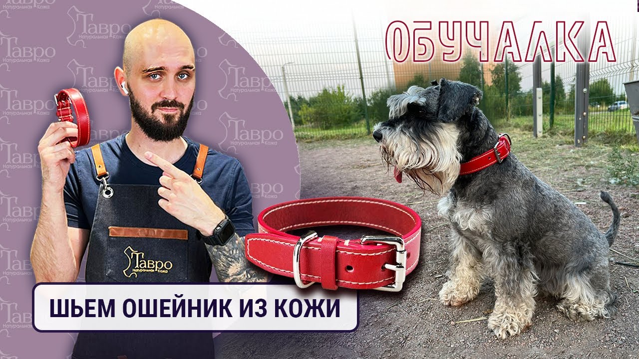 Обучалка: Делаем ошейник для собаки из полы