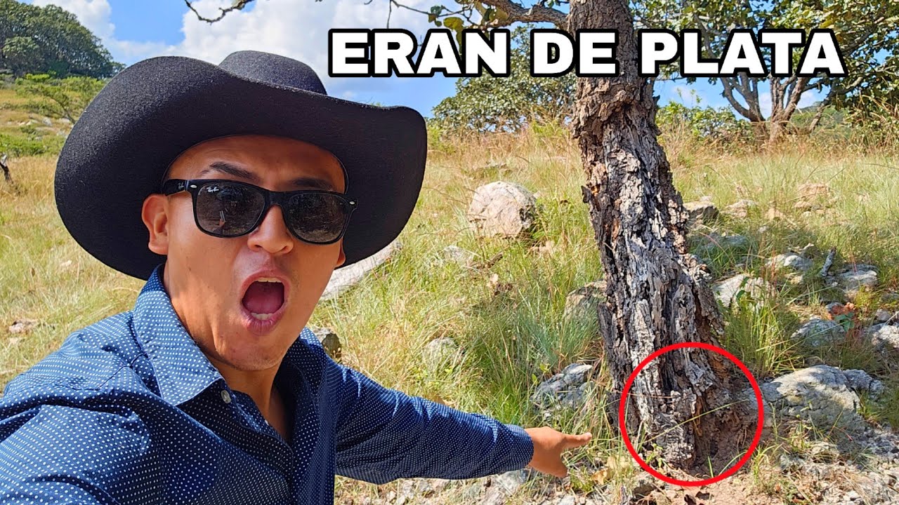 Encontré MUCHO DINERO aqui en este tronco Era un GUARDADITO GRANDE fue cierto lo que me contaron