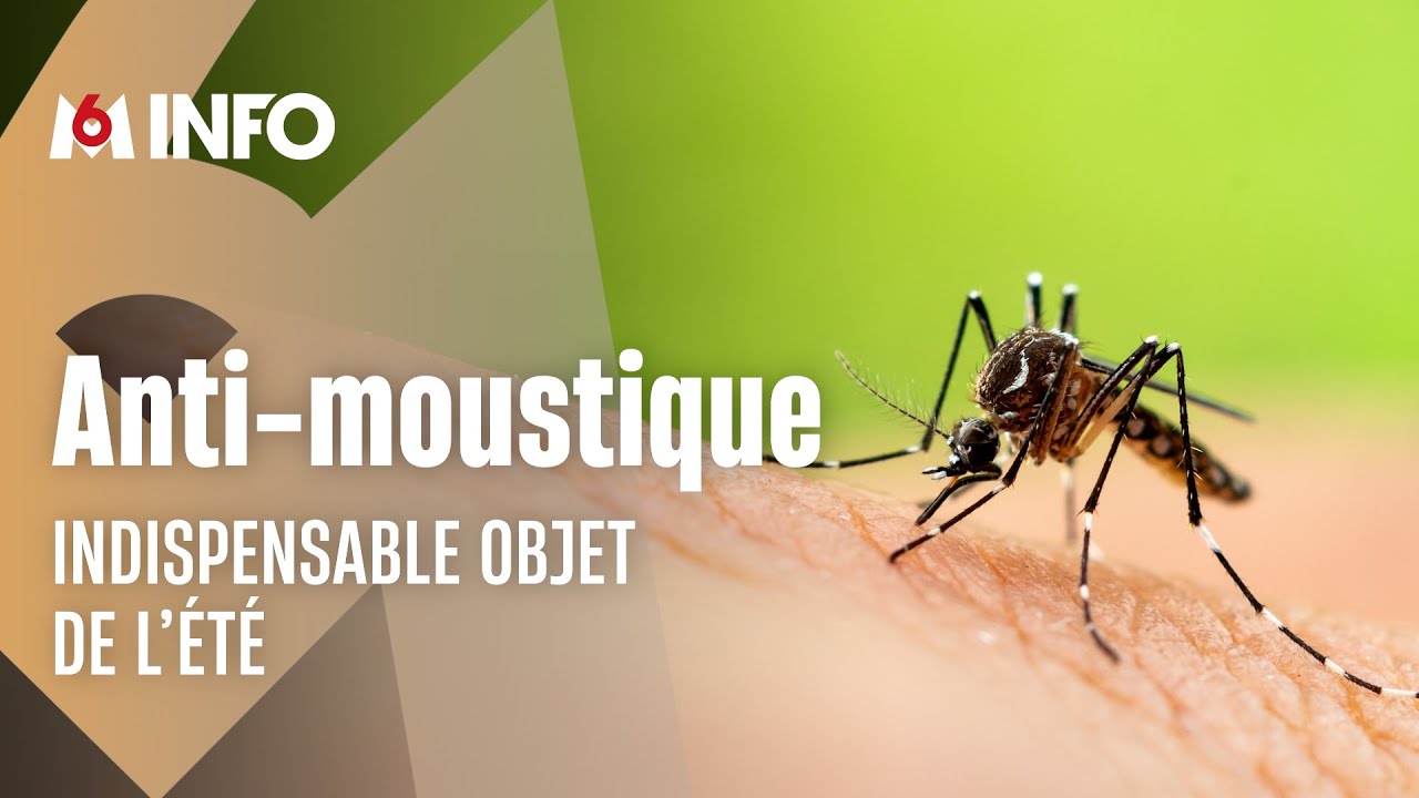 Anti-moustique : ce qui marche... ou pas !