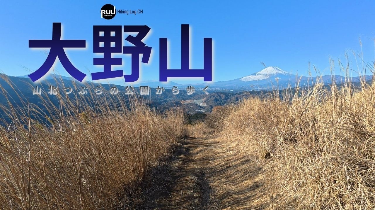 『丹沢』山北つぶらの公園から【大野山】へ。ずっといい景色のハイキング