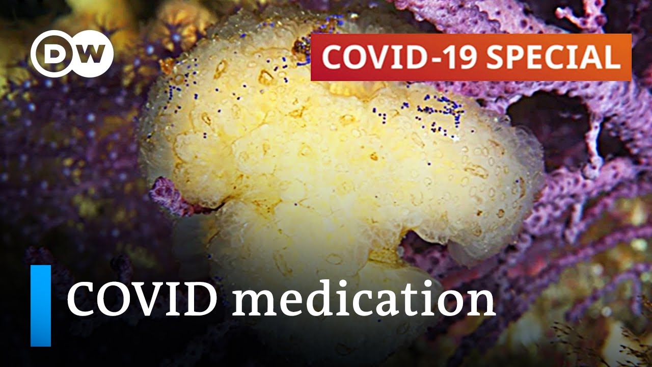 Sidelined by vaccines? What&rsquo;s the latest research on COVID medication and treatments?