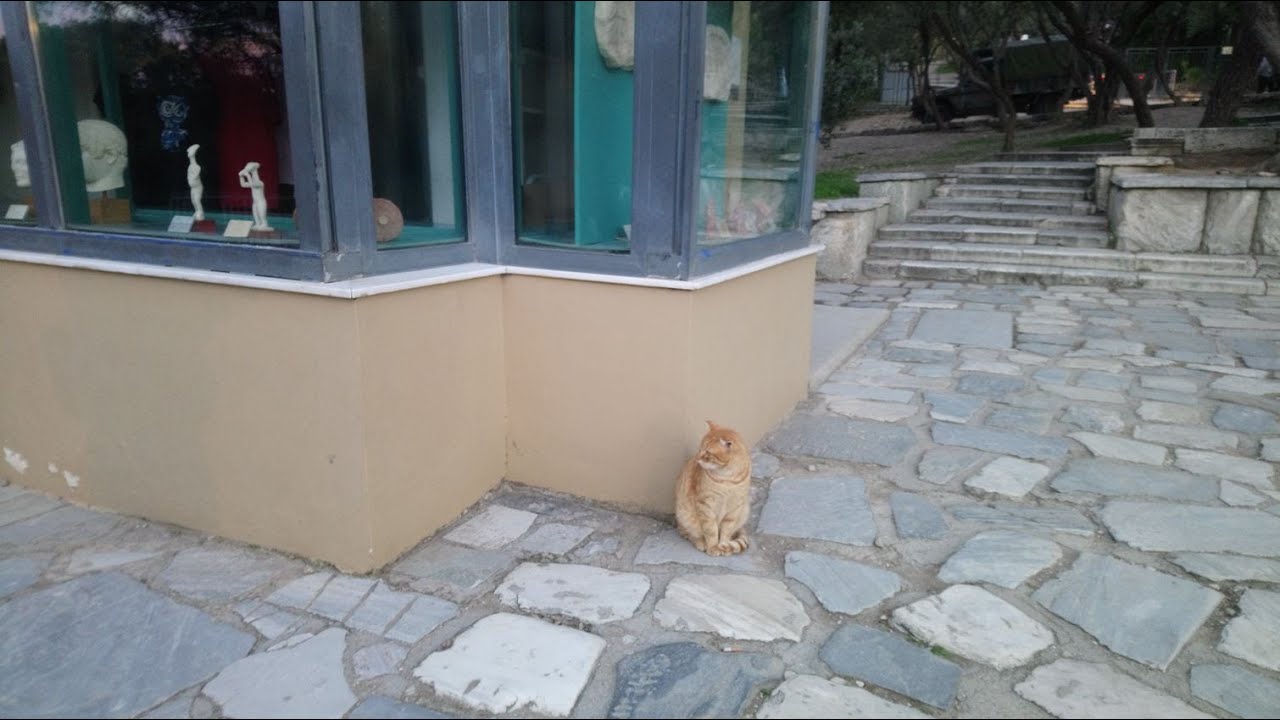 A walk around Athens