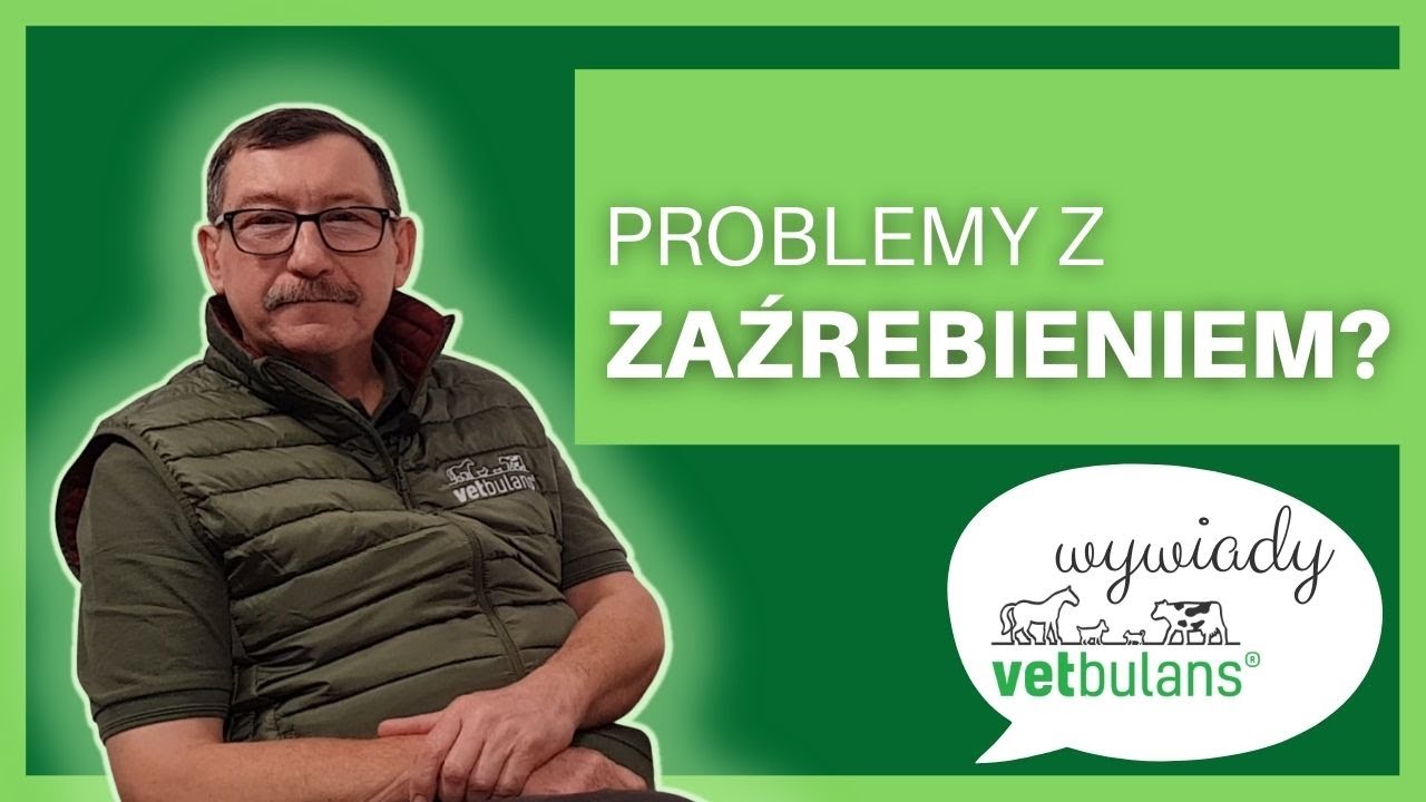 Rozród koni | USG klaczy | Najczęściej zadawane pytania | lekarz weterynarii radzi