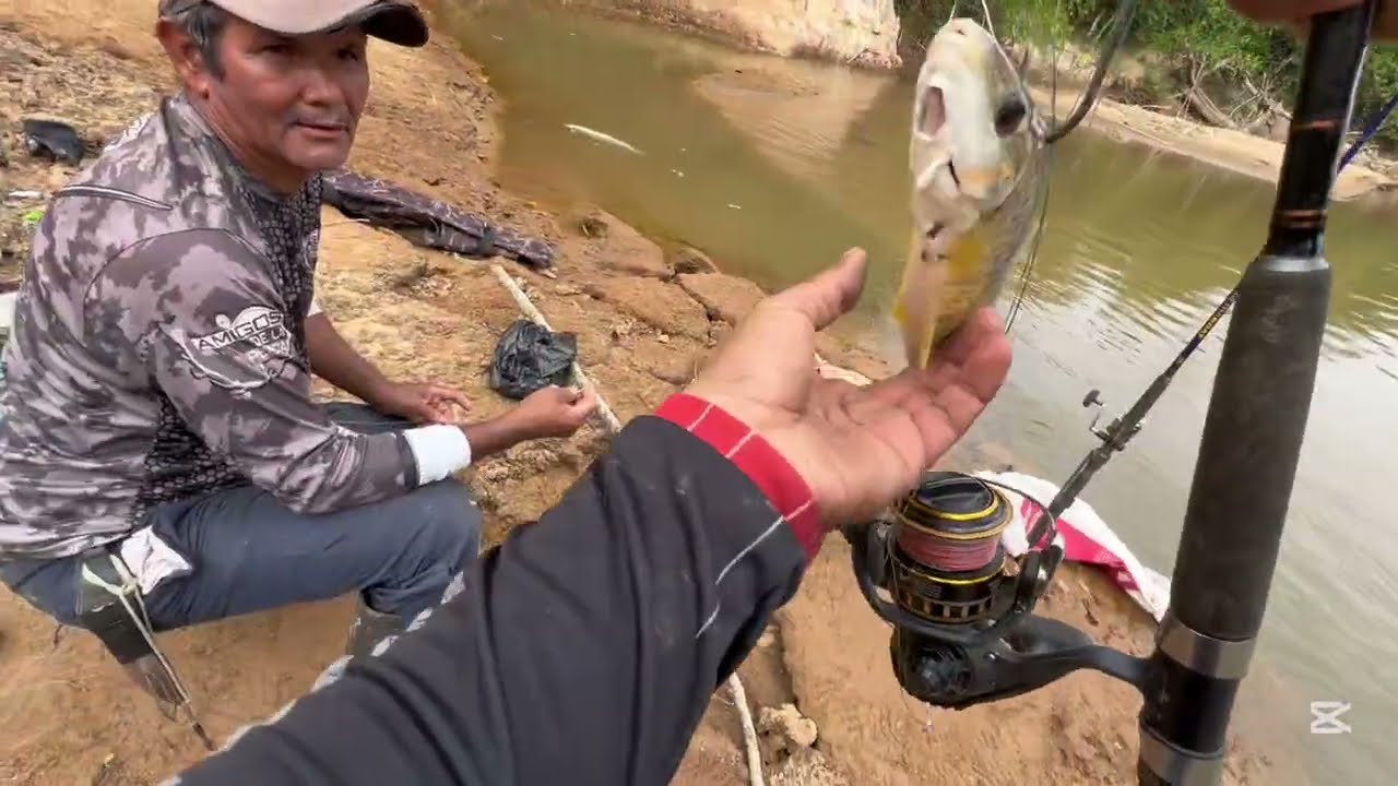 Di frutar cada día la pesca amigos 