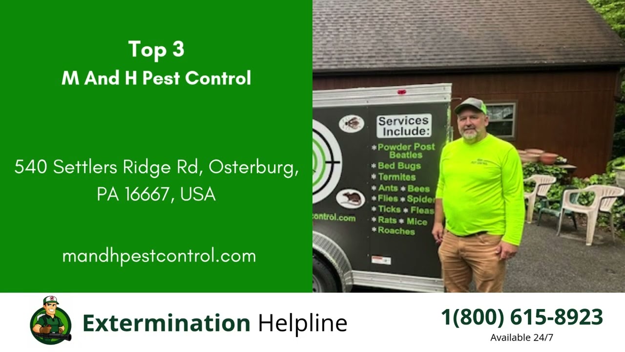 Top 3 Exterminators in Altoona