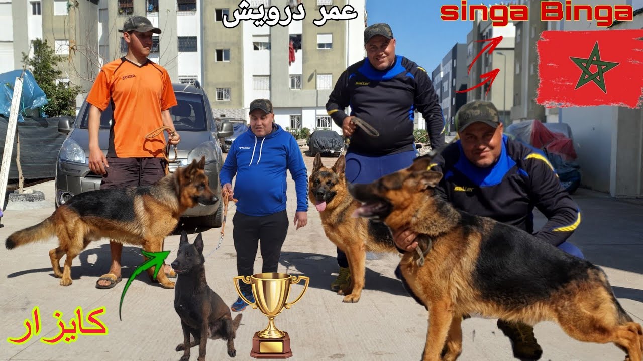 سوق القريعة بالدار البيضاء 🇲🇦 مع المولوع اختصاص في الكلاب مالنيوا شاربون عمر درويش وأتمني جدا مناسب