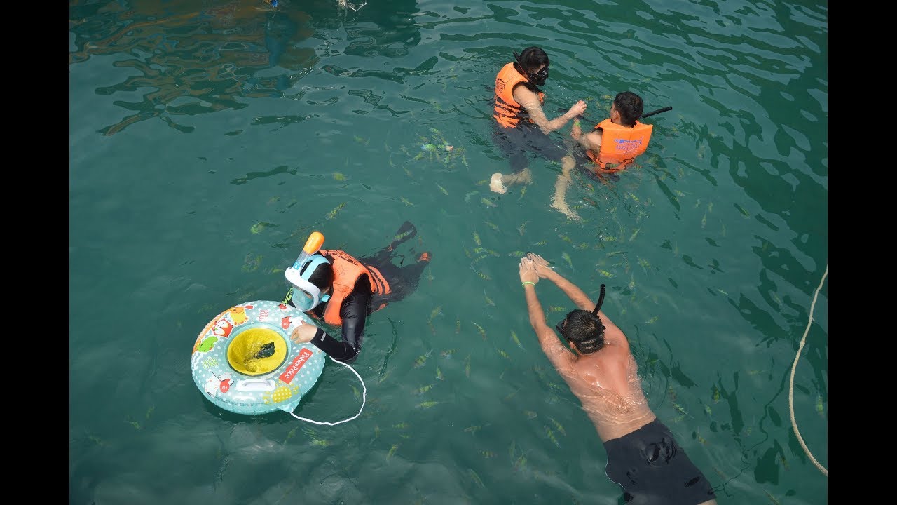 Snorkeling and Fishes Feeding at Chicken Island - 4 Islands, Krabi, Thailand