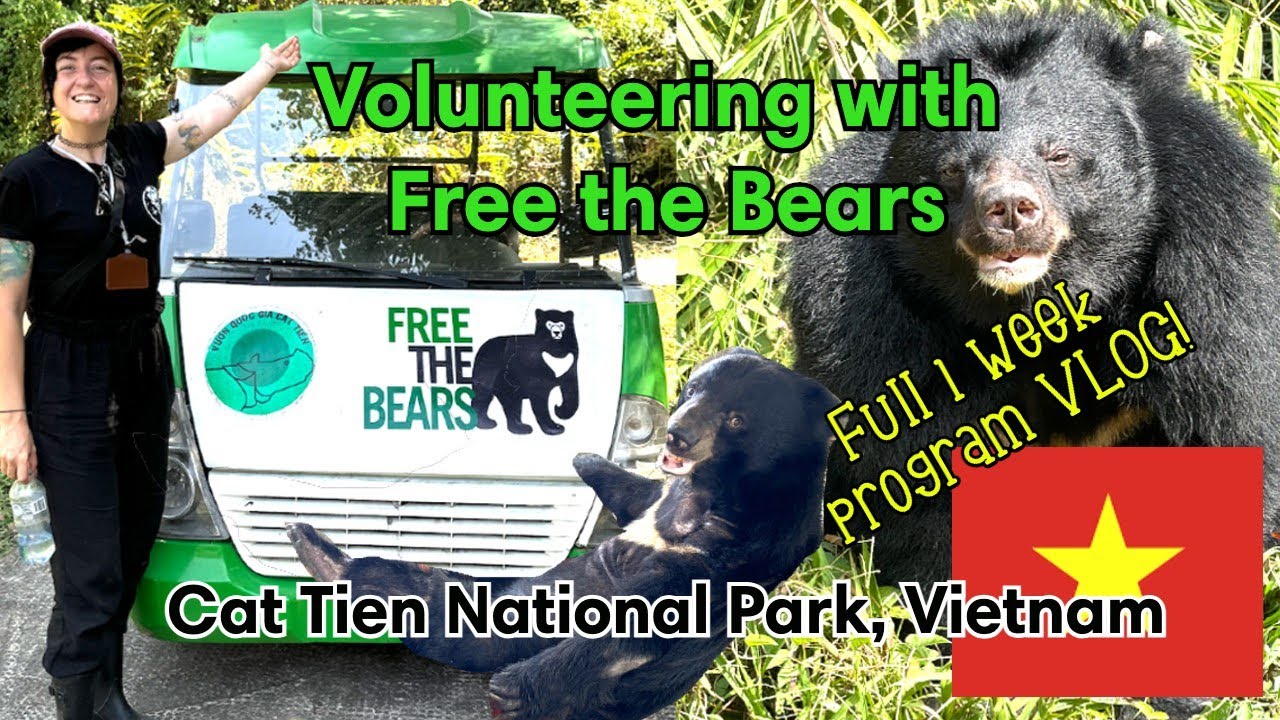 Volunteering with Free The Bears 🐻 Cat Tien Vietnam 🇻🇳 Full 1 Week Program VLOG 2024 ✈️