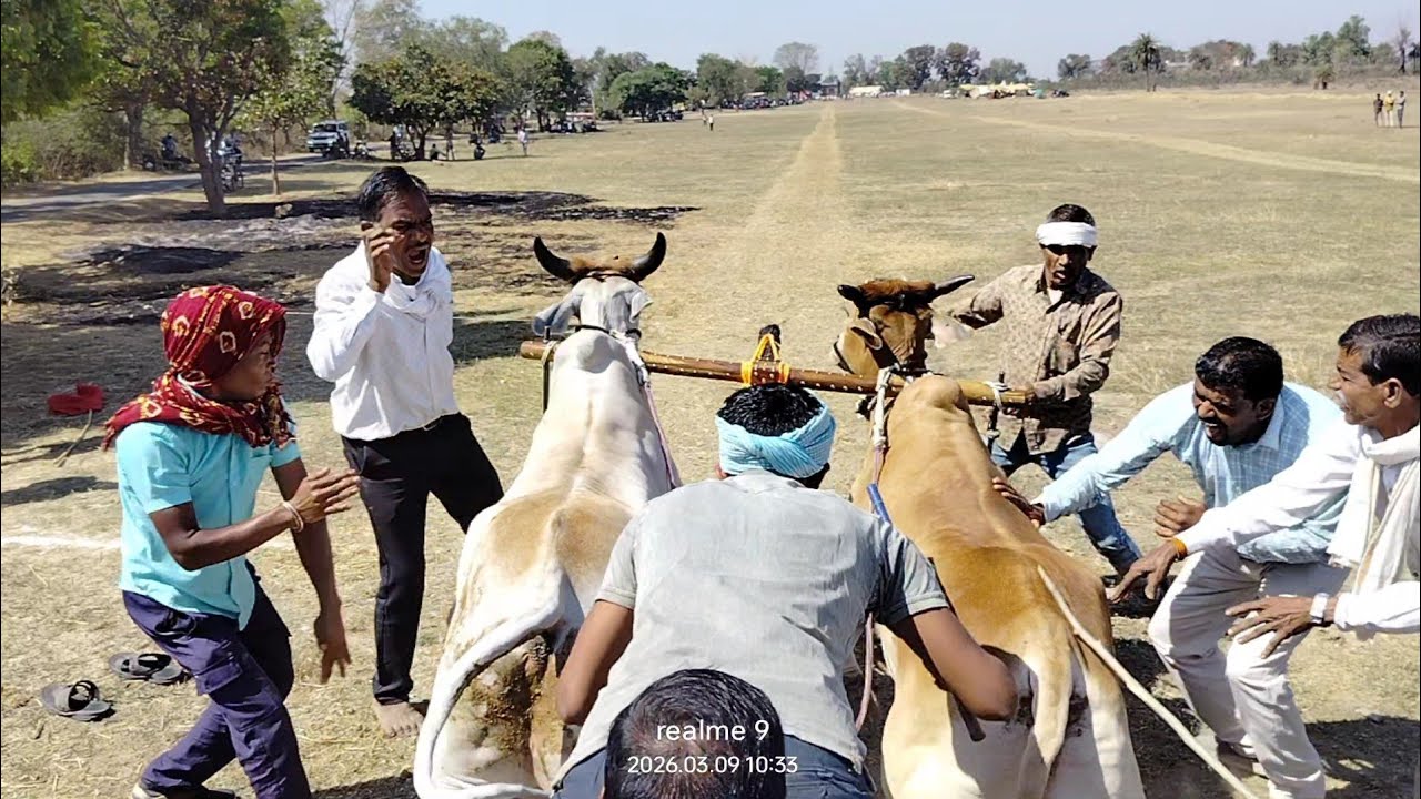 सत्या सेठ बरघाट राजा महाराजा बिरसोला पट स्टार्टिंग पांइट से छुटते हुए 