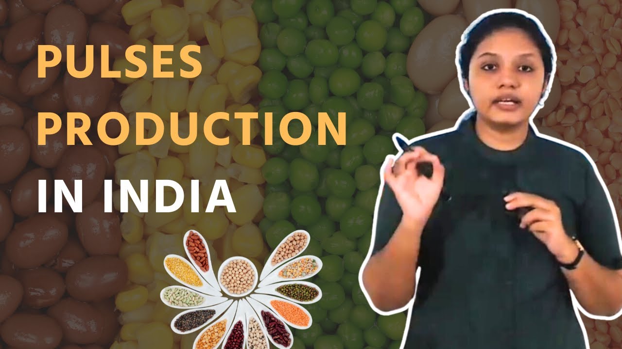 Pulses Production in India | Agriculture | UPSC | ClearIAS
