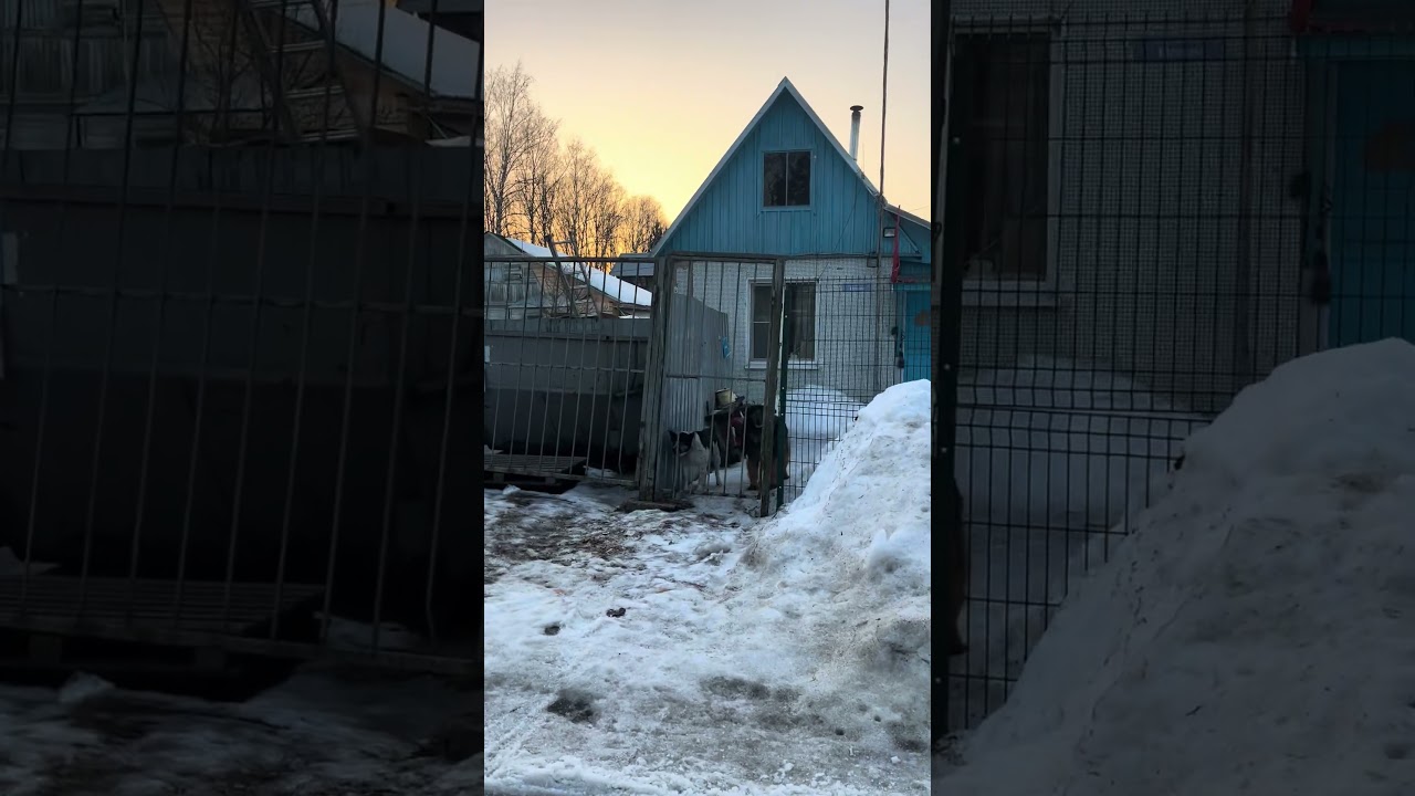 #дачныеистории