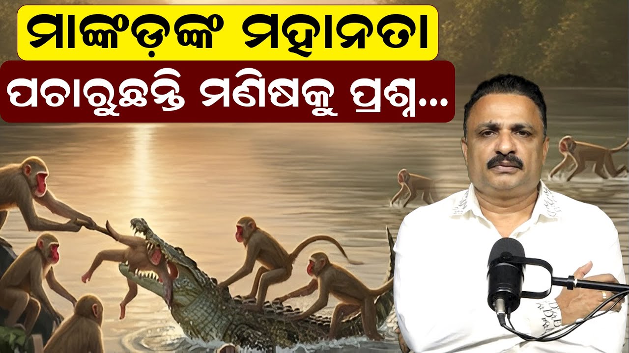 ମାଙ୍କଡ଼ଙ୍କ ମହାନତା | ପଚାରୁଛନ୍ତି ମଣିଷକୁ ପ୍ରଶ୍ନ | Manoranjan Mishra | Newsroom |  Monkey | crocodile