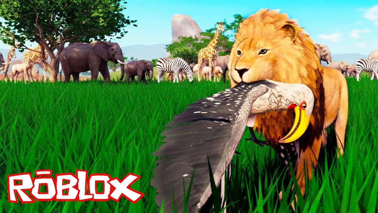 Leão Solitário, Caçando e Roubando Carcaça, Tenho que Sobreviver - Savannah Life Roblox🦁