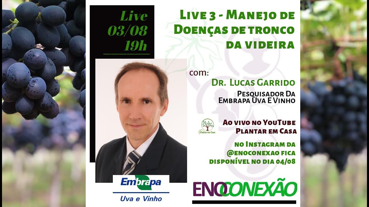 Live Manejo das Doenças no Solo da Videira com Lucas Garrido
