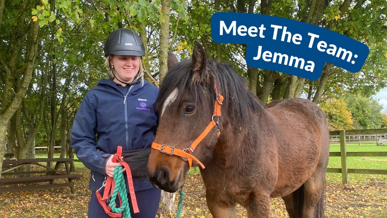 Meet the HorseWorld Team: Rehabilitation Groom Jemma