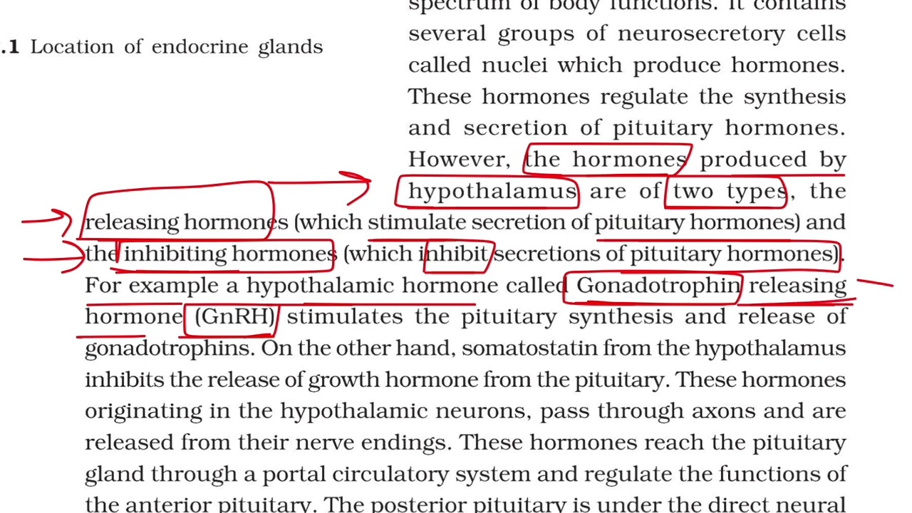 Hypothalamus | Class 11 Biology | NCERT Line by Line | NEET