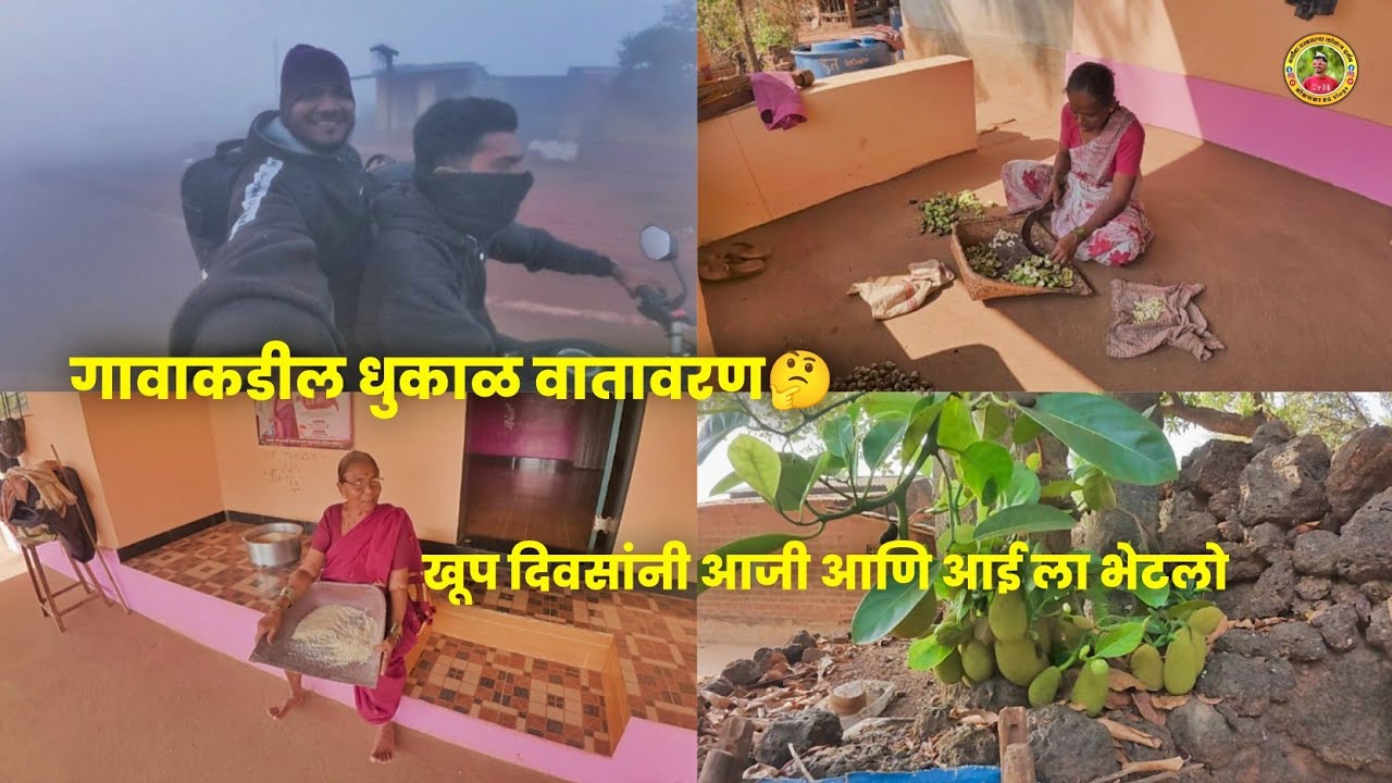 गावाकडील धुकाळ वातावरण🤔खूप दिवसांनी आजी आणि आई ला भेटलो😍काजू ✨#कोकणकरrg #viralvideo 