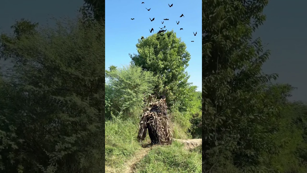 Dangerous birds hunting 🦇😱 #birdhunting #villagelife #hunting #birdhunter #birds