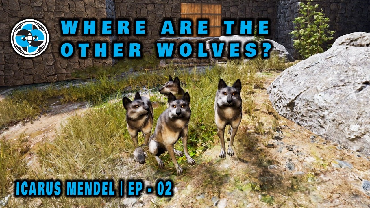 Where Are The Other Wolves? | Icarus - Mendel