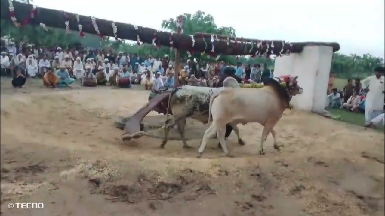 Gaon ka mahaul Mela ♥️