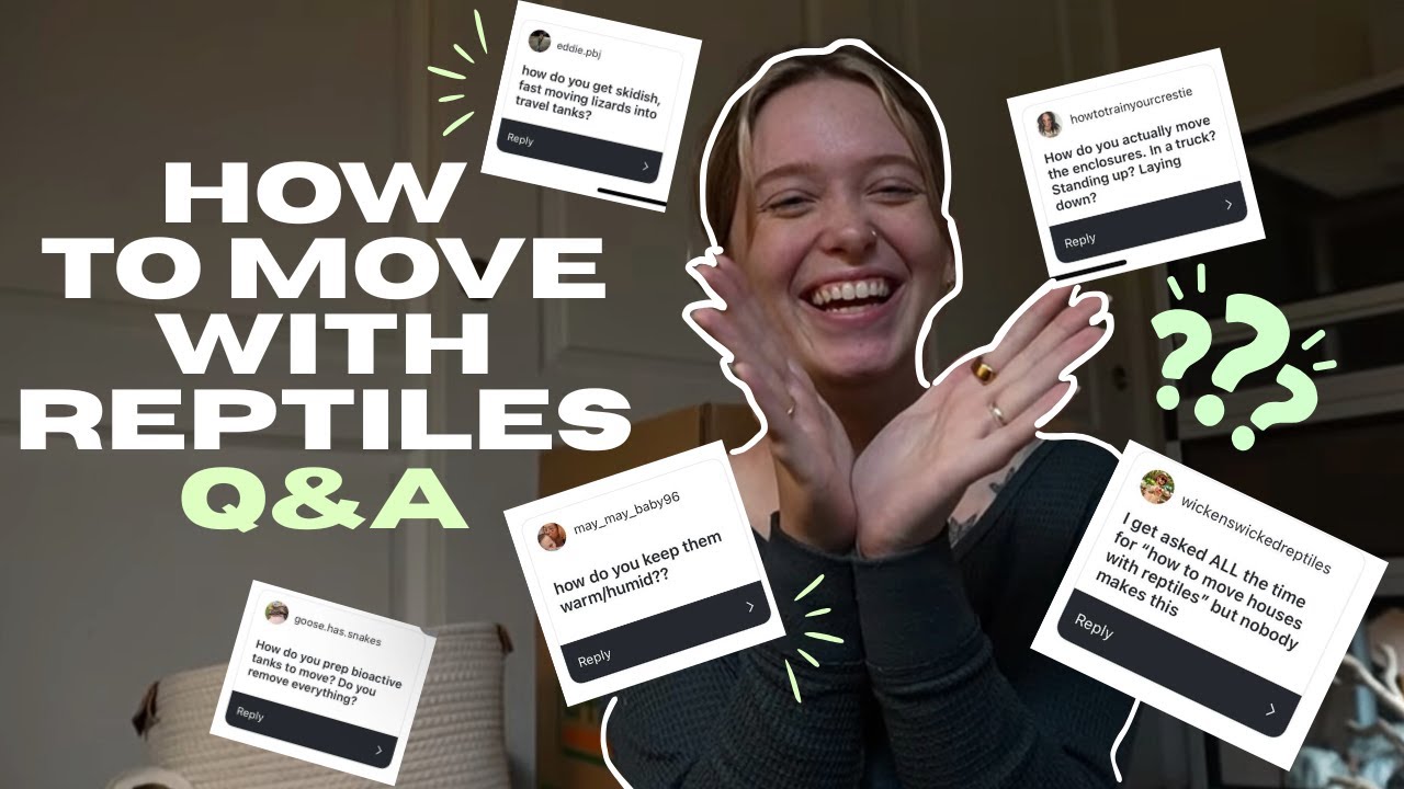 HOW TO MOVE 1000+ miles WITH REPTILE ENCLOSURES (prepping + a q&a)