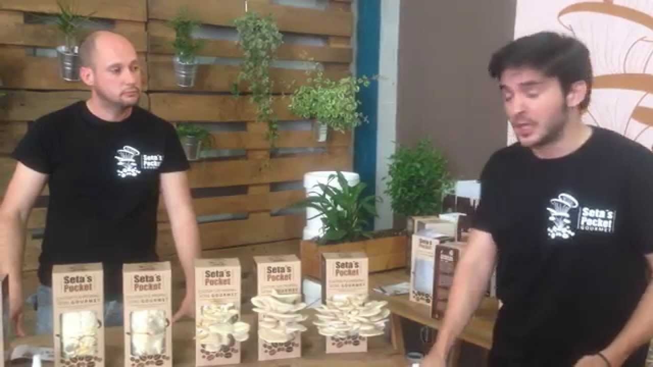 Cómo cultivar tus propias SETAS en casa con tu kit SETAS POCKET