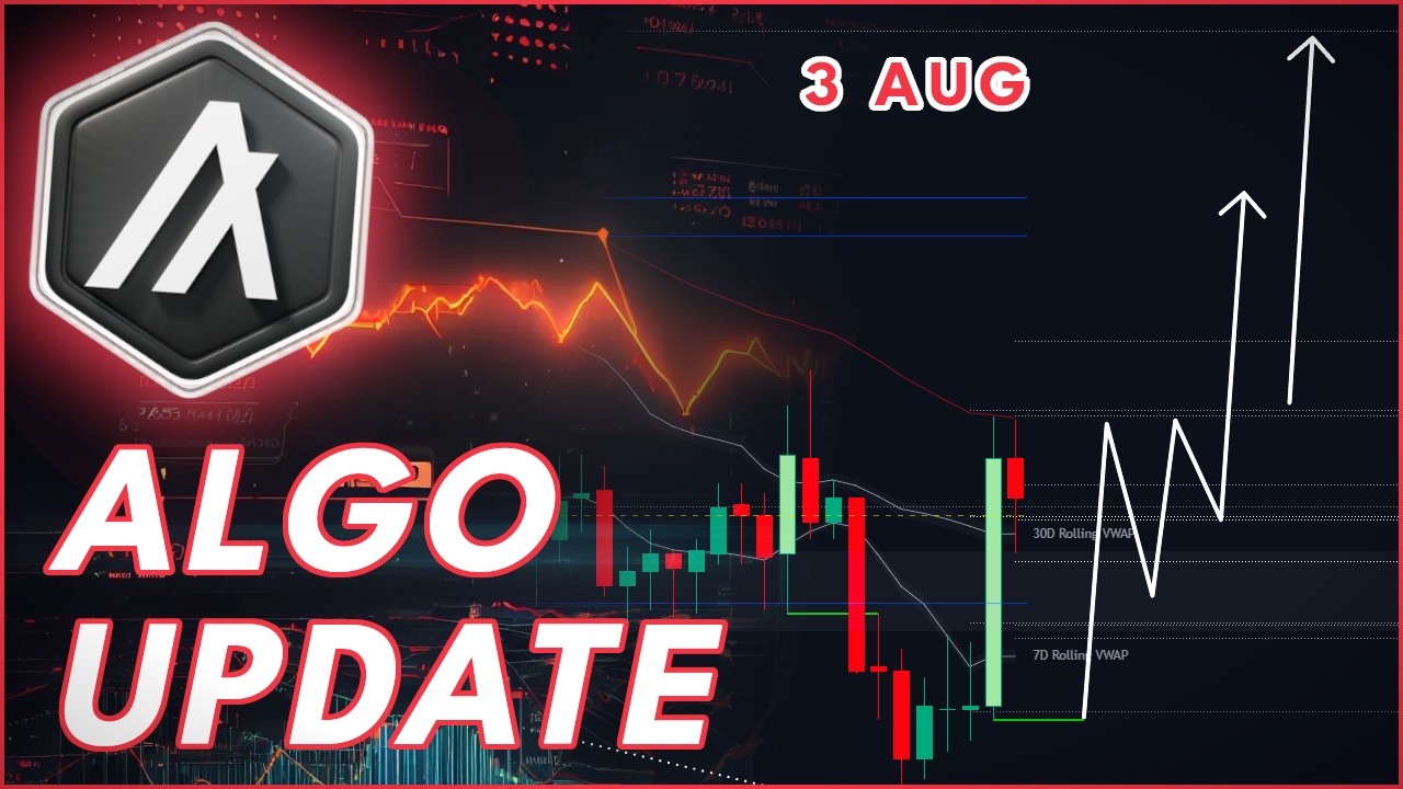 BIG ALGORAND BREAKOUT! RALLY INCOMING?🚨