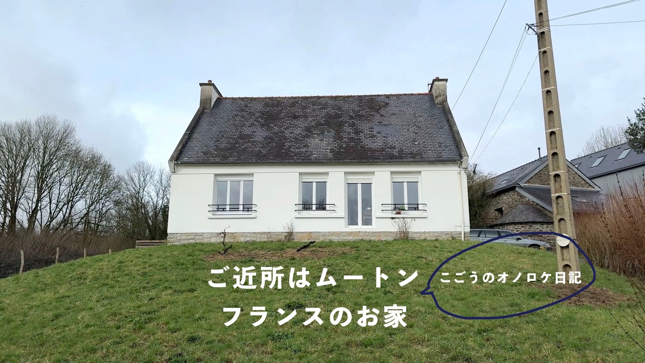 ご近所はムートン 🐏 フランスのお家 / セブの絶品シャンピニオンクレーム(きのこクリーム)と鴨肉のステーキ / フランス・ブルターニュより🇫🇷