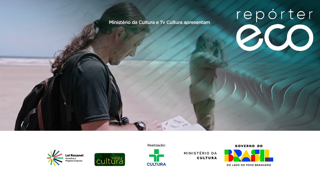 REPÓRTER ECO | 15/02/2026
