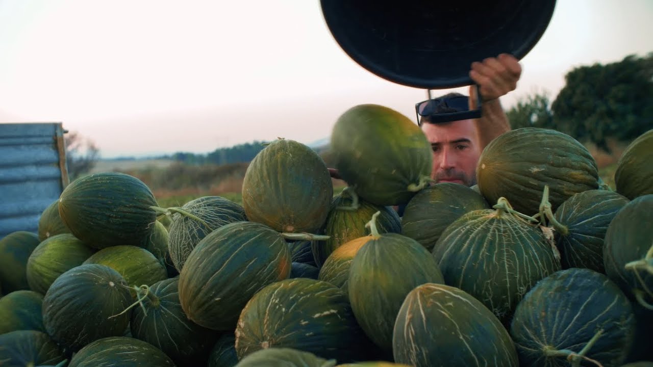 Raccontando Lunamatrona - La sagra del melone coltivato in asciutto, della malvasia e della pecora