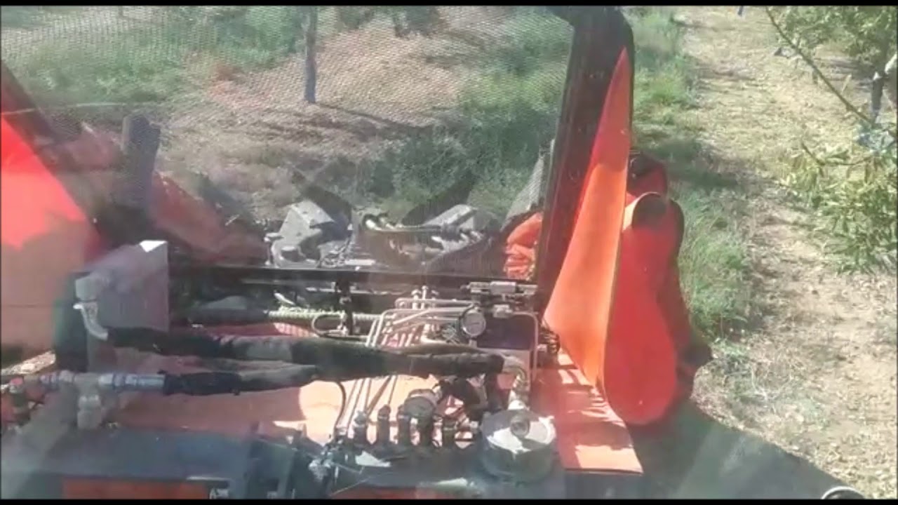 Paraguas recolector de almendras en campaña 2020 (Agromelca VTS)