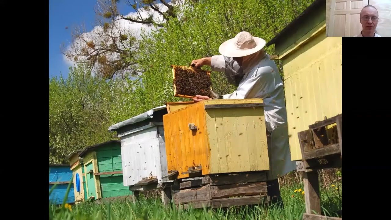 Natural Beekeeping That Works with Dr.  Leo Sharashkin Revisit Part Two