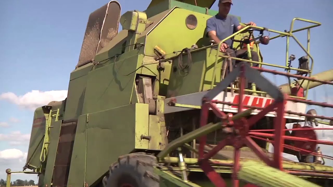 Nu skördar vi vårvete med Claas Mercator 60!