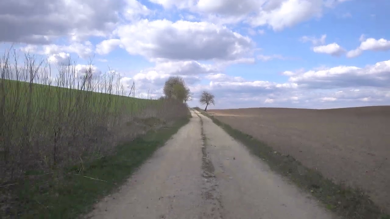 Odcinek testowy Stębark Ulnowo 3,5 km RallyNuta Grunwald