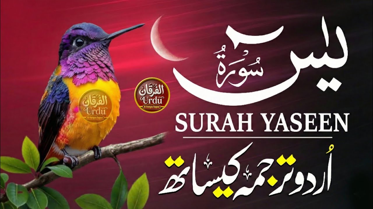 Surah Yasin with Urdu Translation | Heart of the Quran | Full Beautiful Recitation | سورة يس 
