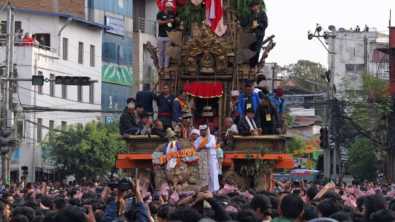 Rato Machindranath Rath 2082 Yatra Brings at Patan #ratomachindranath #bungaDyo
