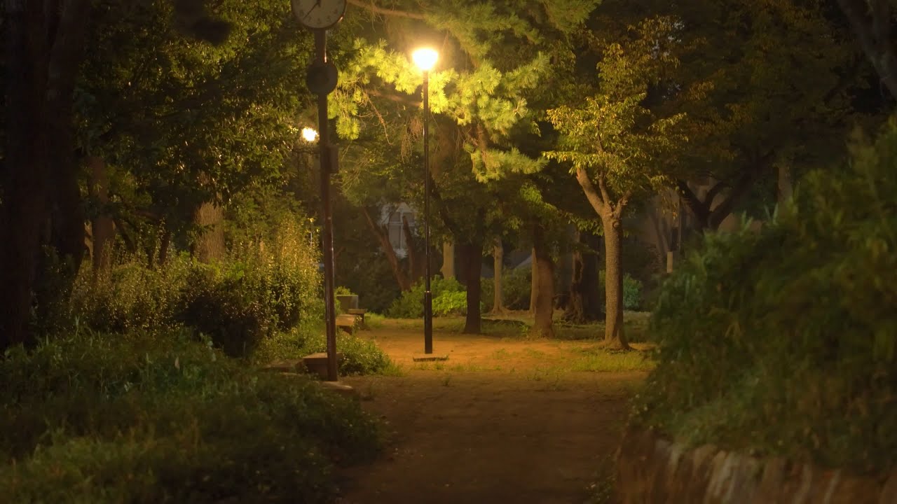 Tokyo's Oddly Quiet Nights