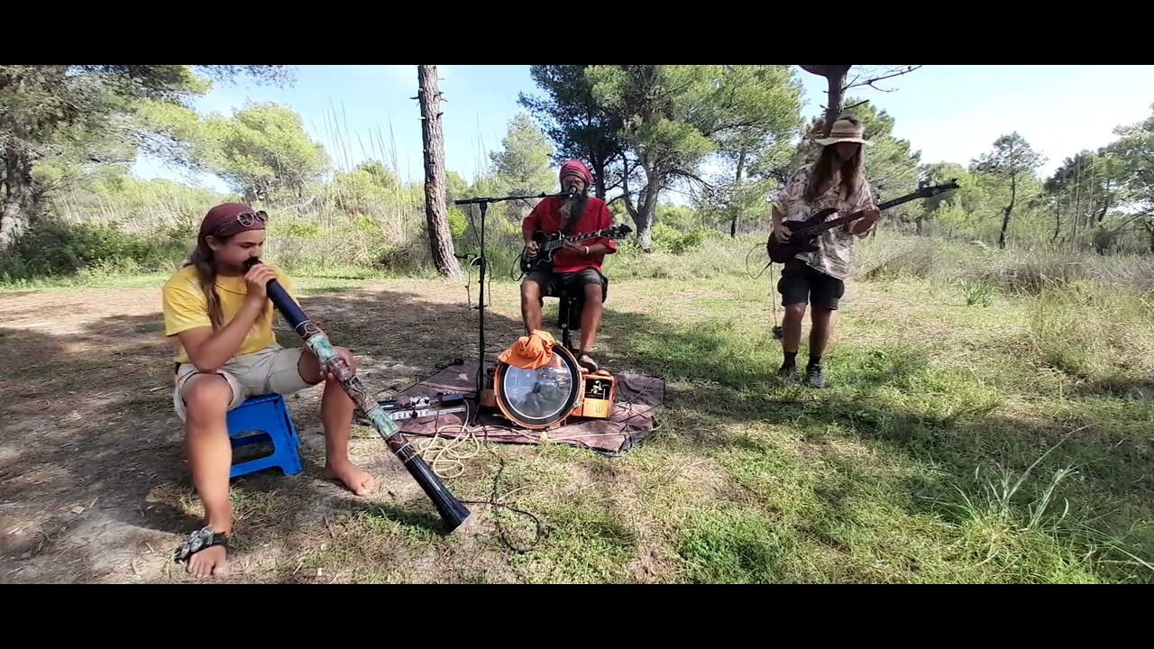 The Walter Catfish Combo 2