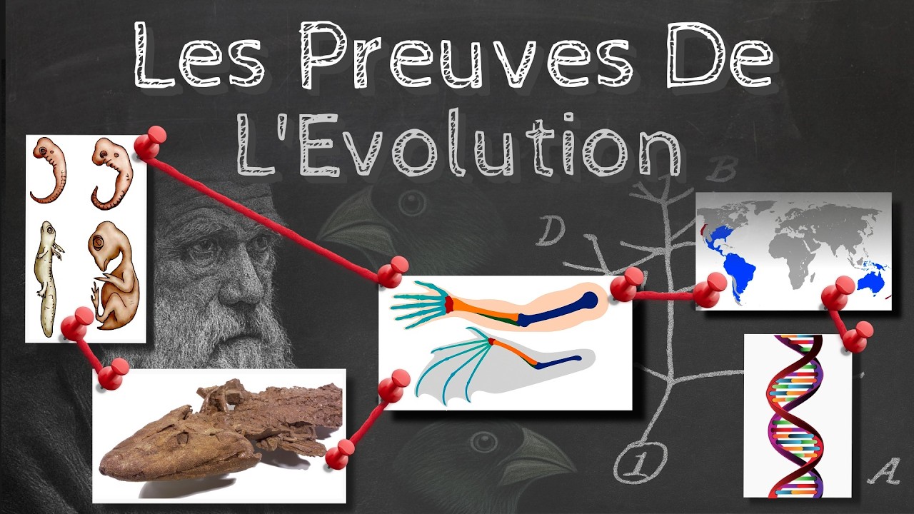 Les preuves de l'évolution - Passe-science #64