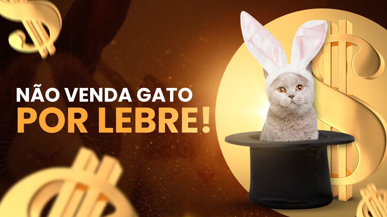 Administradora de bens próprios é uma forma de Holding?