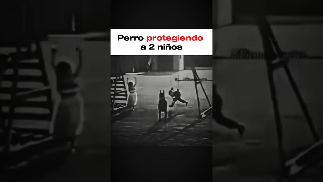 Perro protegiendo a dos ni&ntilde;os #perros #defensapersonal