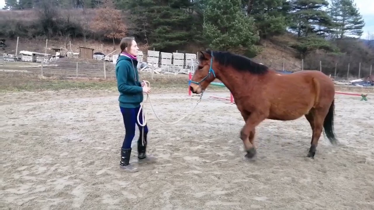 hrám sa s koňmi 4- ako poslať koňa na kruh