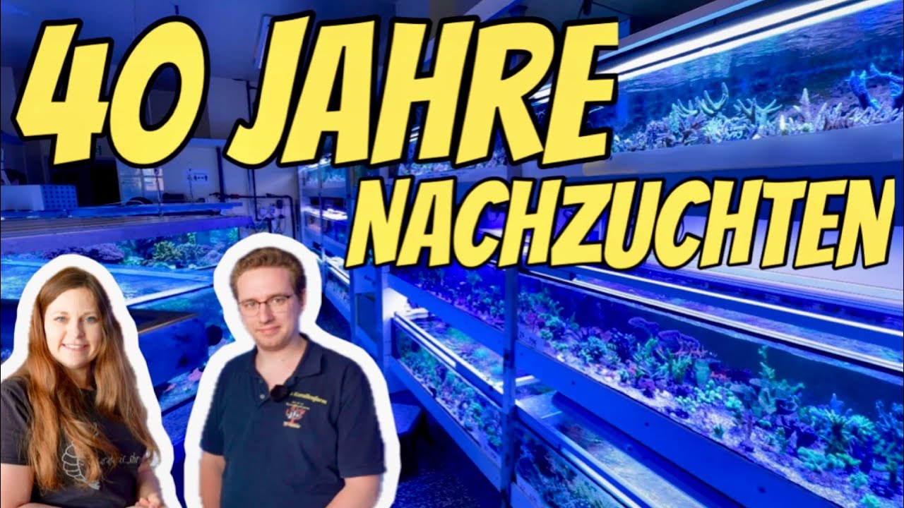 Ich besuche JOE & CO KORALLENFARM in Witten - LPS, SPS Nachzuchten - mit Lars Poding
