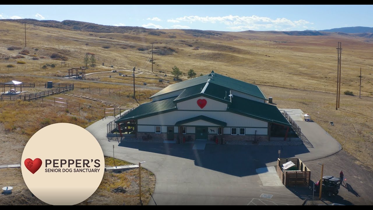 Pepper's Senior Dog Sanctuary Tour