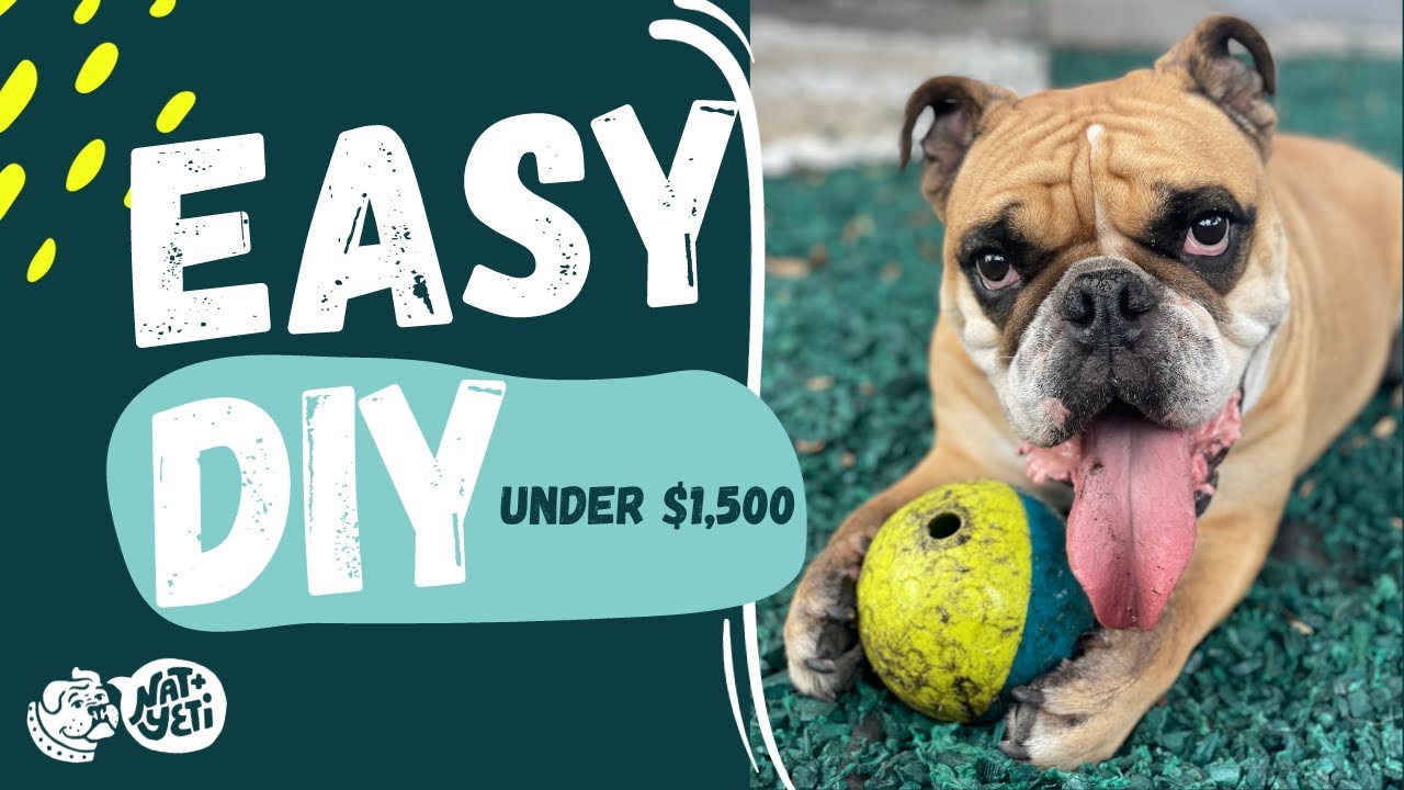 Dog-Friendly Backyard Ideas