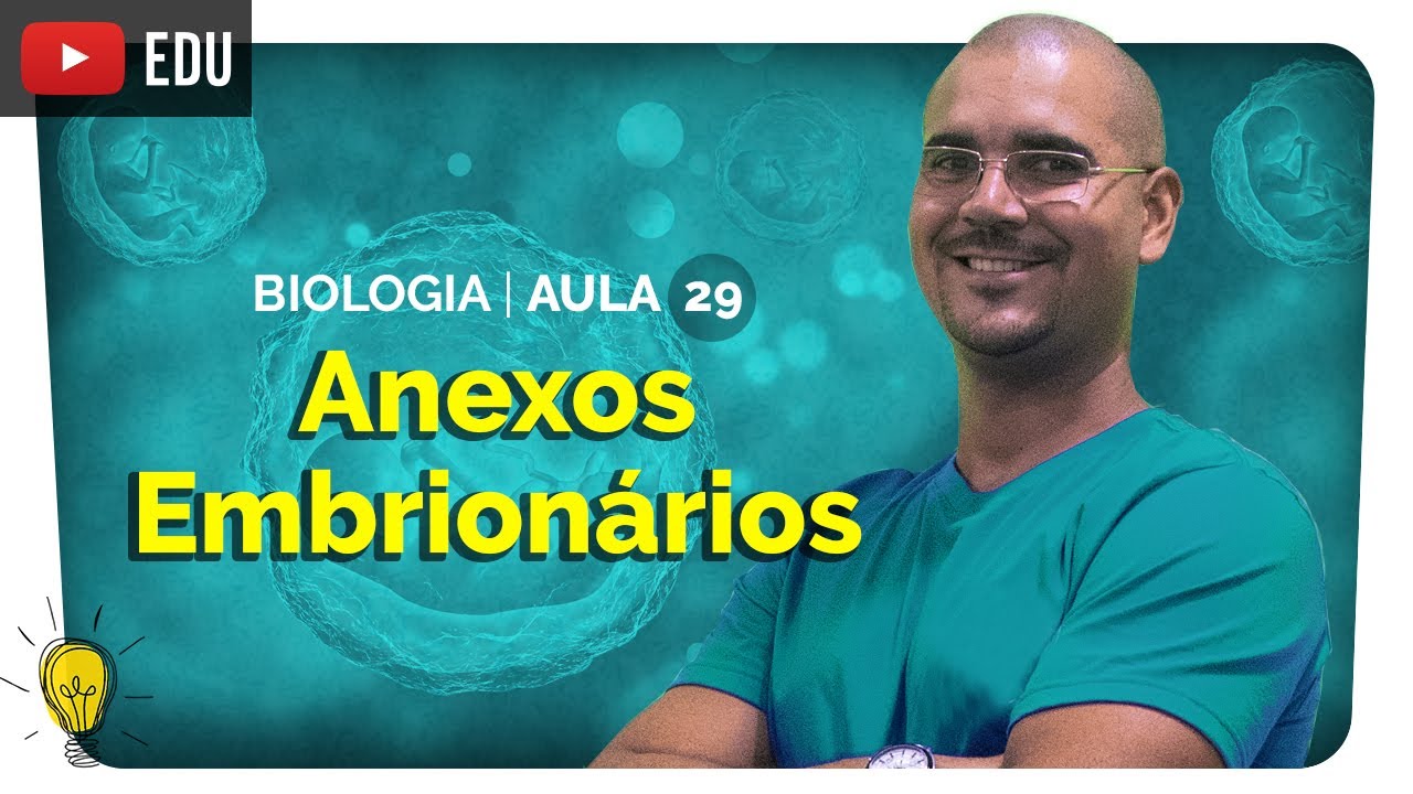 Anexos Embrionários: Placenta, Cordão Umbilical, Líquido Amniótico | Embriologia | Biologia | Enem
